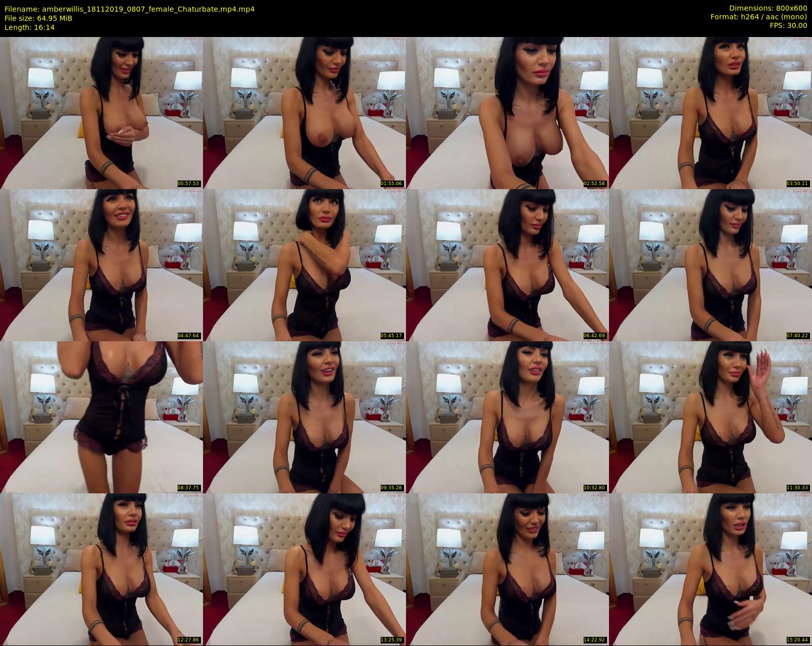 amberwillis — 17 minute Chaturbate female cam show recording, 480p, Nov 18, 2019