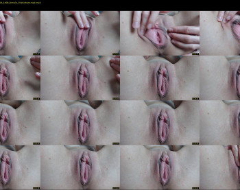 naughtysextime — 5 minute Chaturbate female cam show recording, 720p, Nov 20, 2019