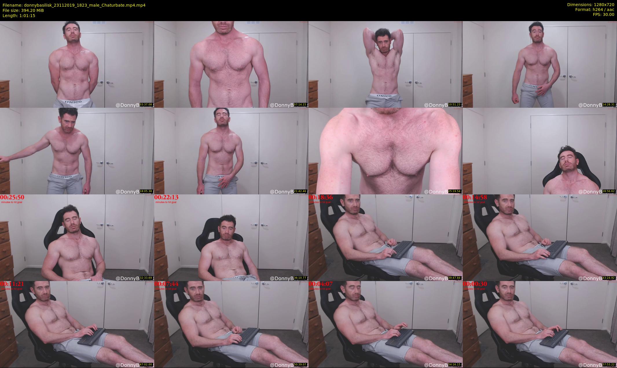 donnybasilisk — 62 minute Chaturbate male cam show recording, 720p, Nov 23, 2019