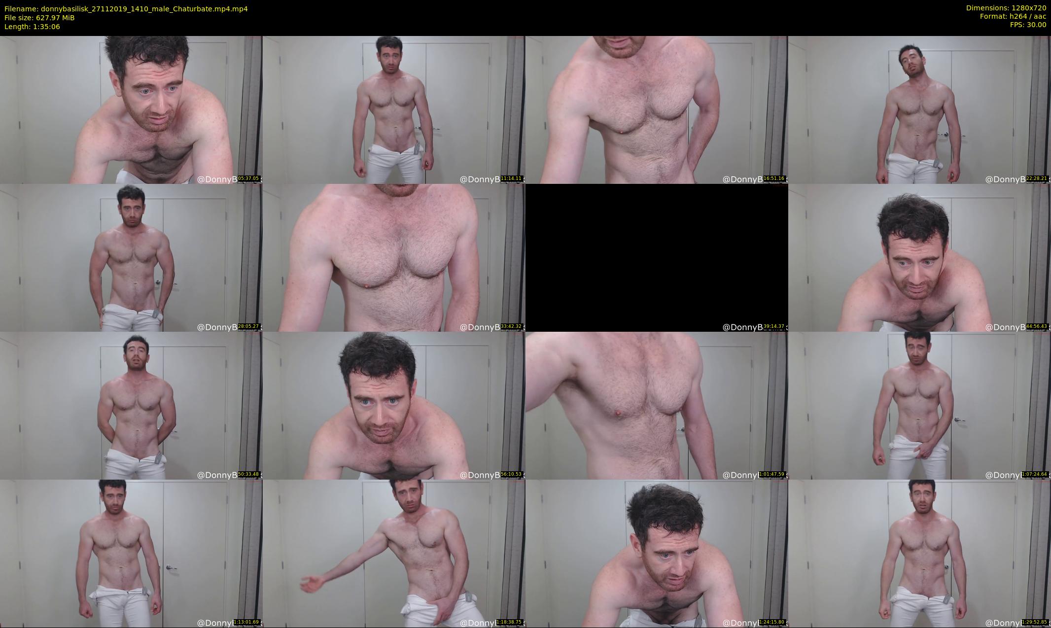 donnybasilisk — 96 minute Chaturbate male cam show recording, 720p, Nov 27, 2019