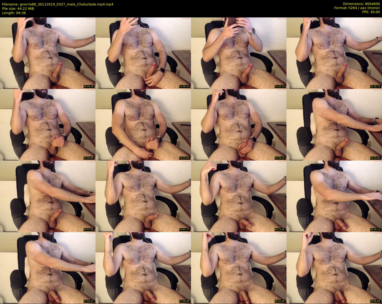 gnorris88 — 10 minute Chaturbate male cam show recording, 480p, Nov 30, 2019