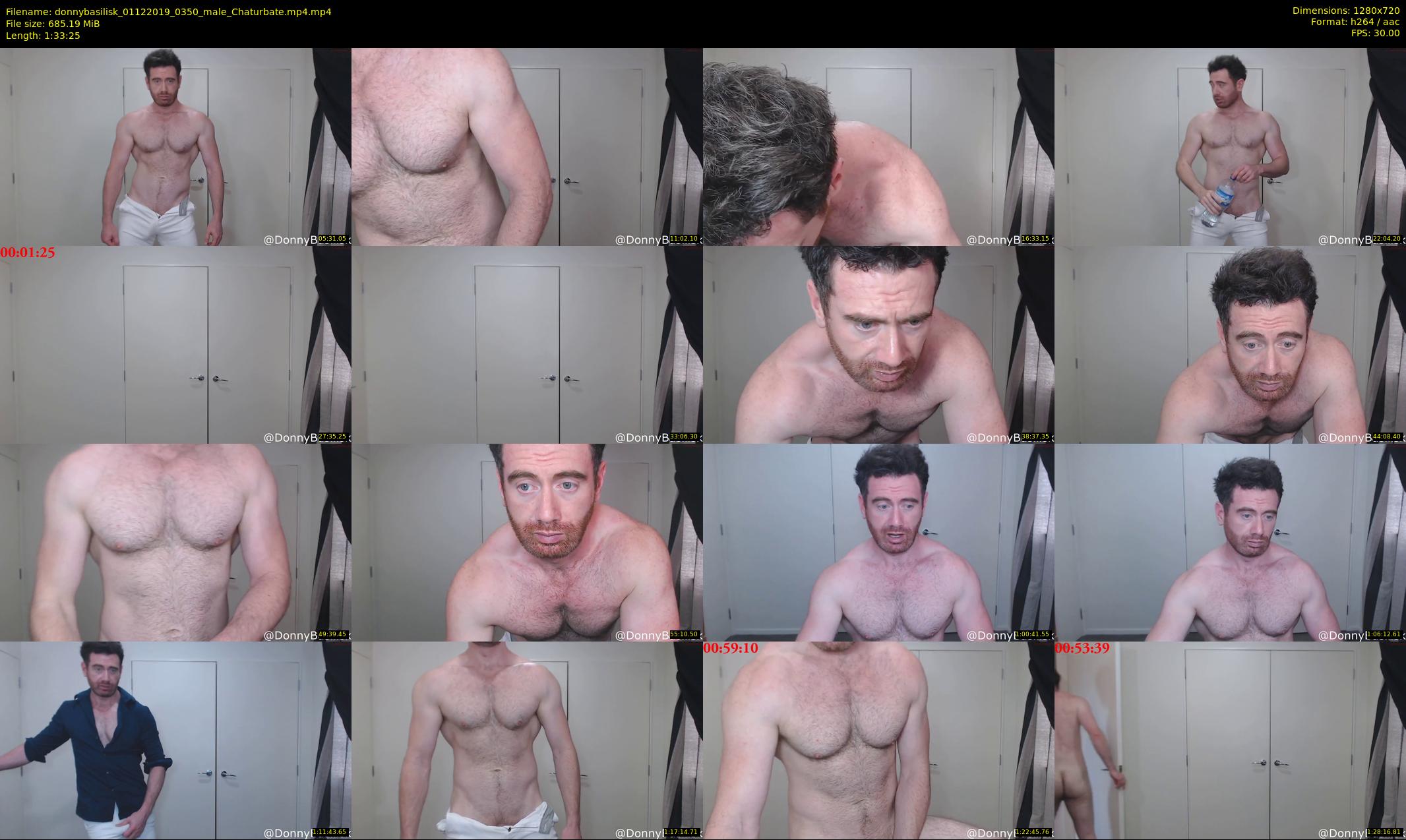 donnybasilisk — 94 minute Chaturbate male cam show recording, 720p, Dec 1, 2019