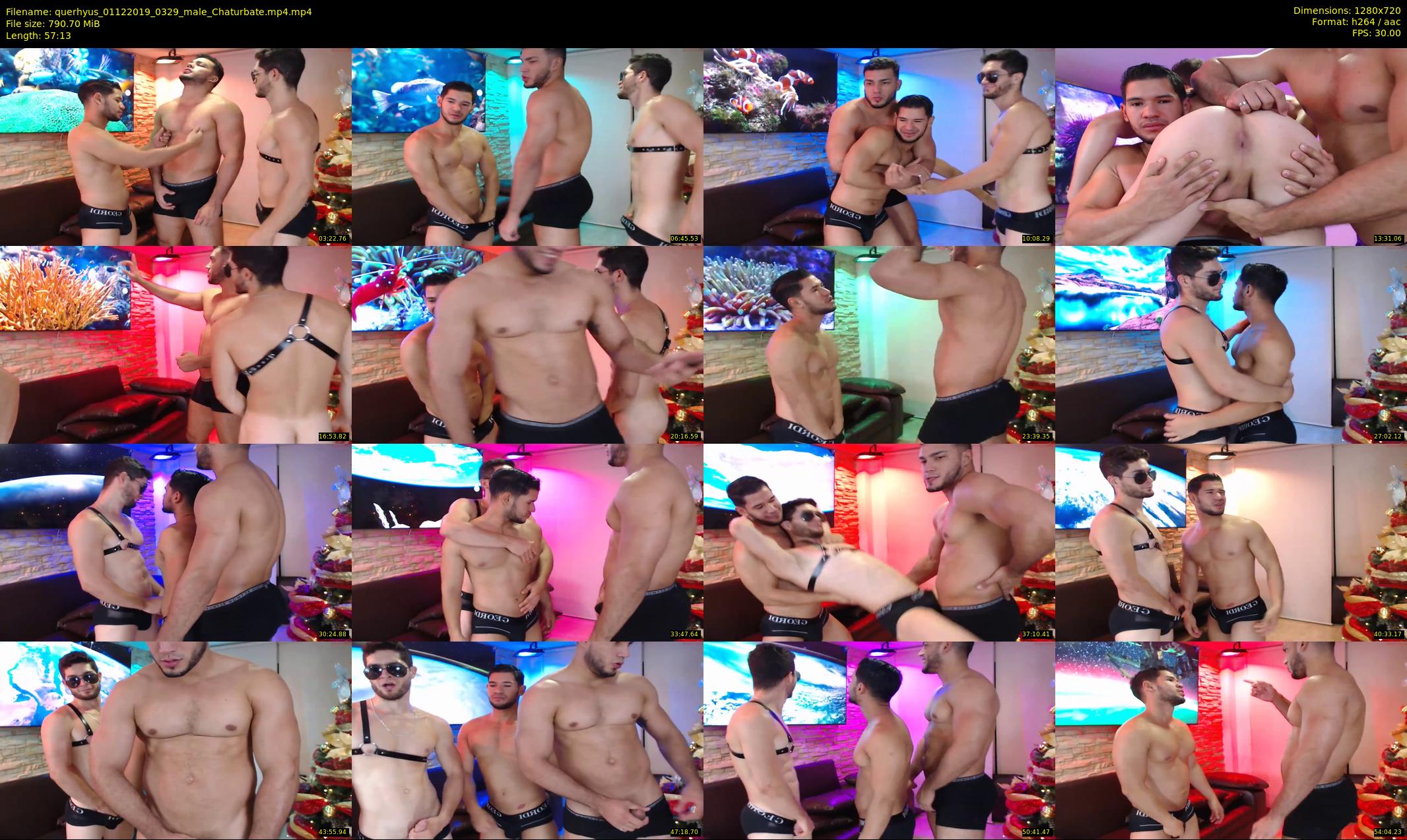 querhyus — 58 minute Chaturbate male cam show recording, 720p, Dec 1, 2019