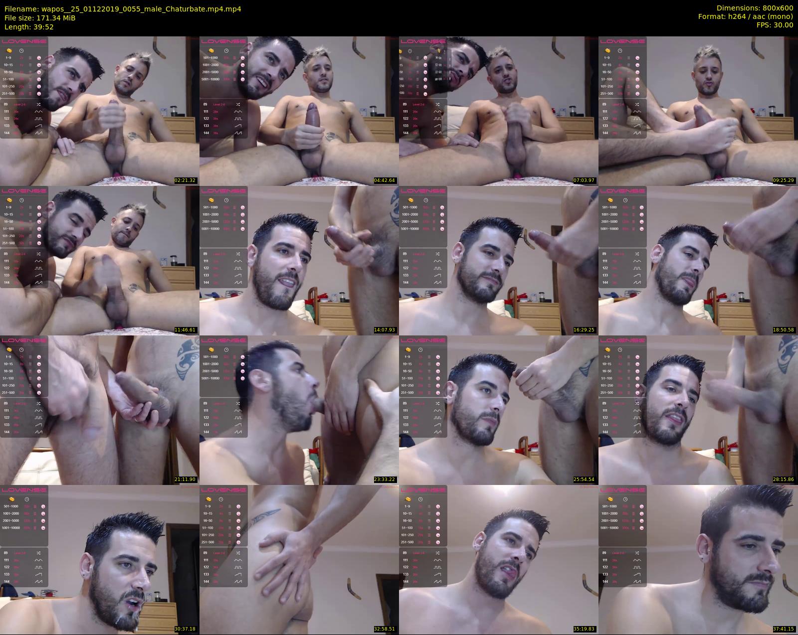 wapos__25 — 40 minute Chaturbate male cam show recording, 480p, Dec 1, 2019