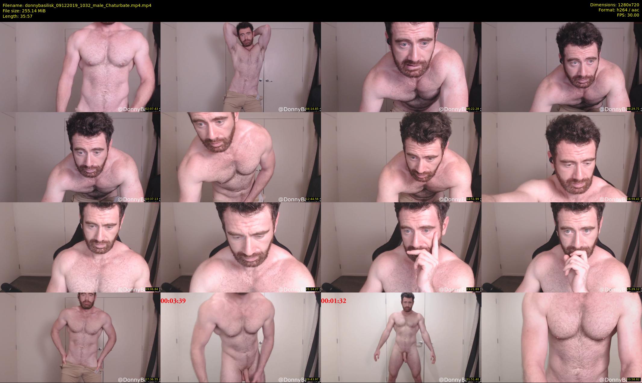 donnybasilisk — 36 minute Chaturbate male cam show recording, 720p, Dec 9, 2019