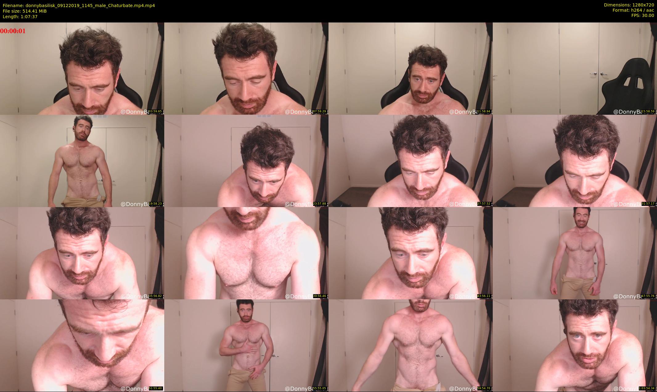 donnybasilisk — 68 minute Chaturbate male cam show recording, 720p, Dec 9, 2019
