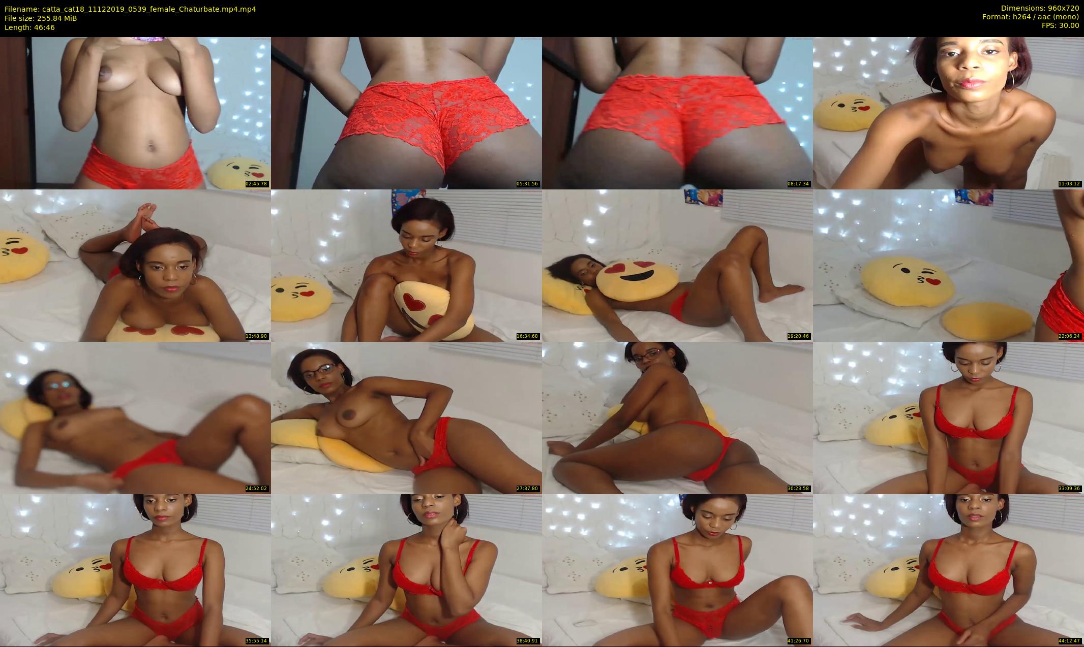 catta_cat18 — 47 minute Chaturbate female cam show recording, 720p, Dec 11, 2019