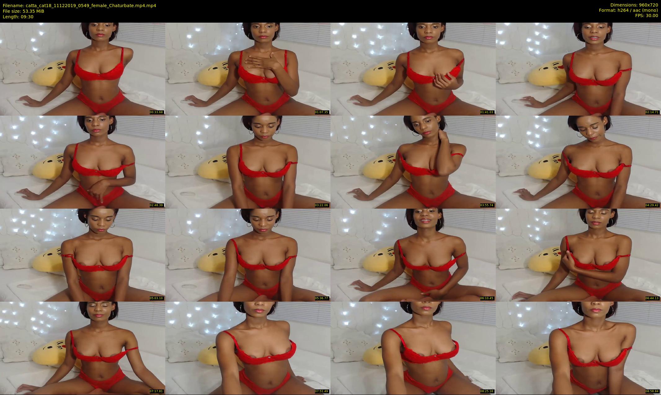 catta_cat18 — 10 minute Chaturbate female cam show recording, 720p, Dec 11, 2019