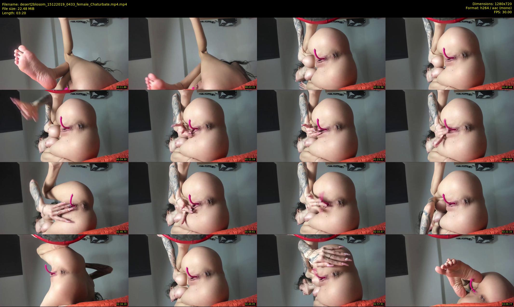 desert2blosom — 4 minute Chaturbate female cam show recording, 720p, Dec 15, 2019
