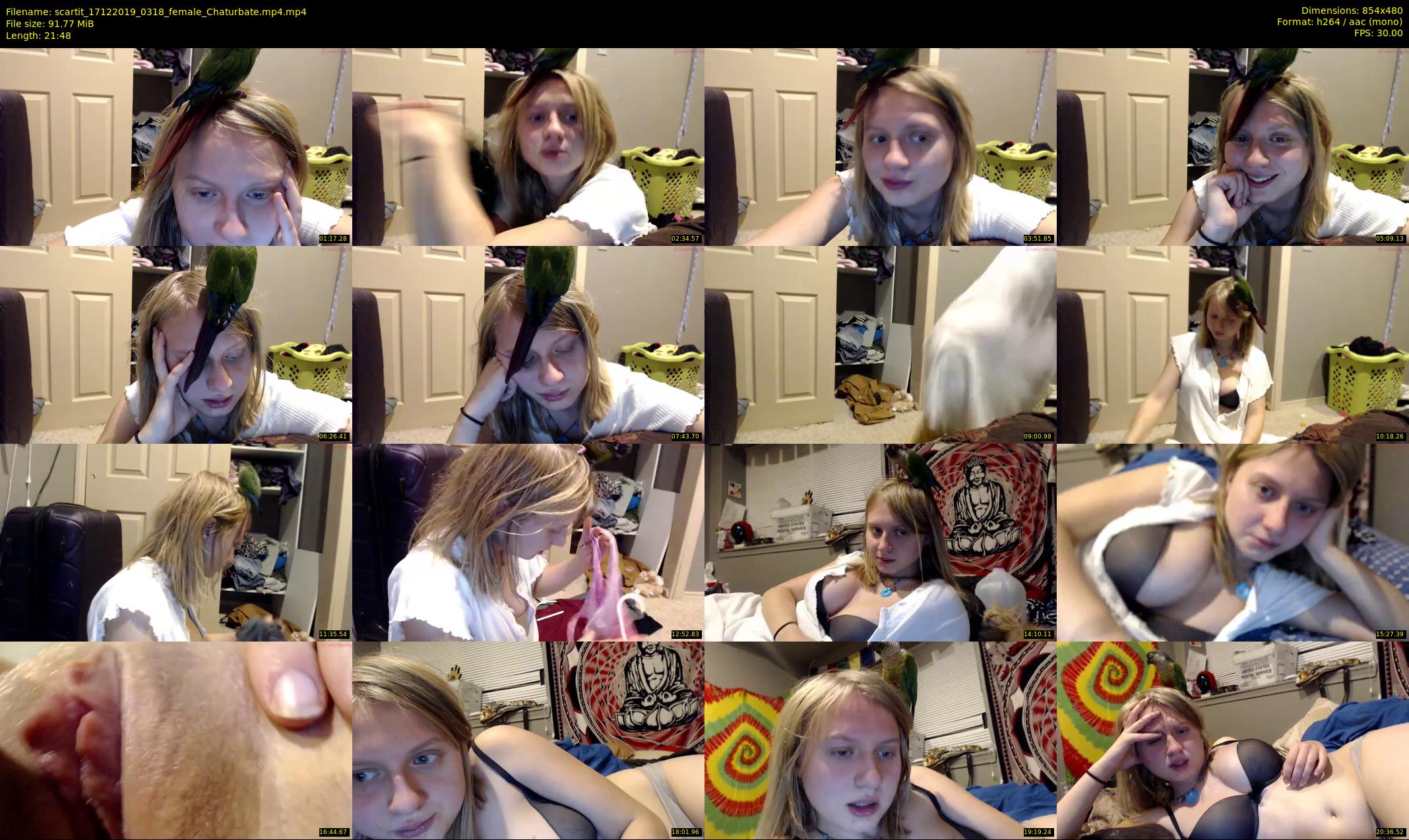 scartit — 22 minute Chaturbate female cam show recording, 480p, Dec 17, 2019