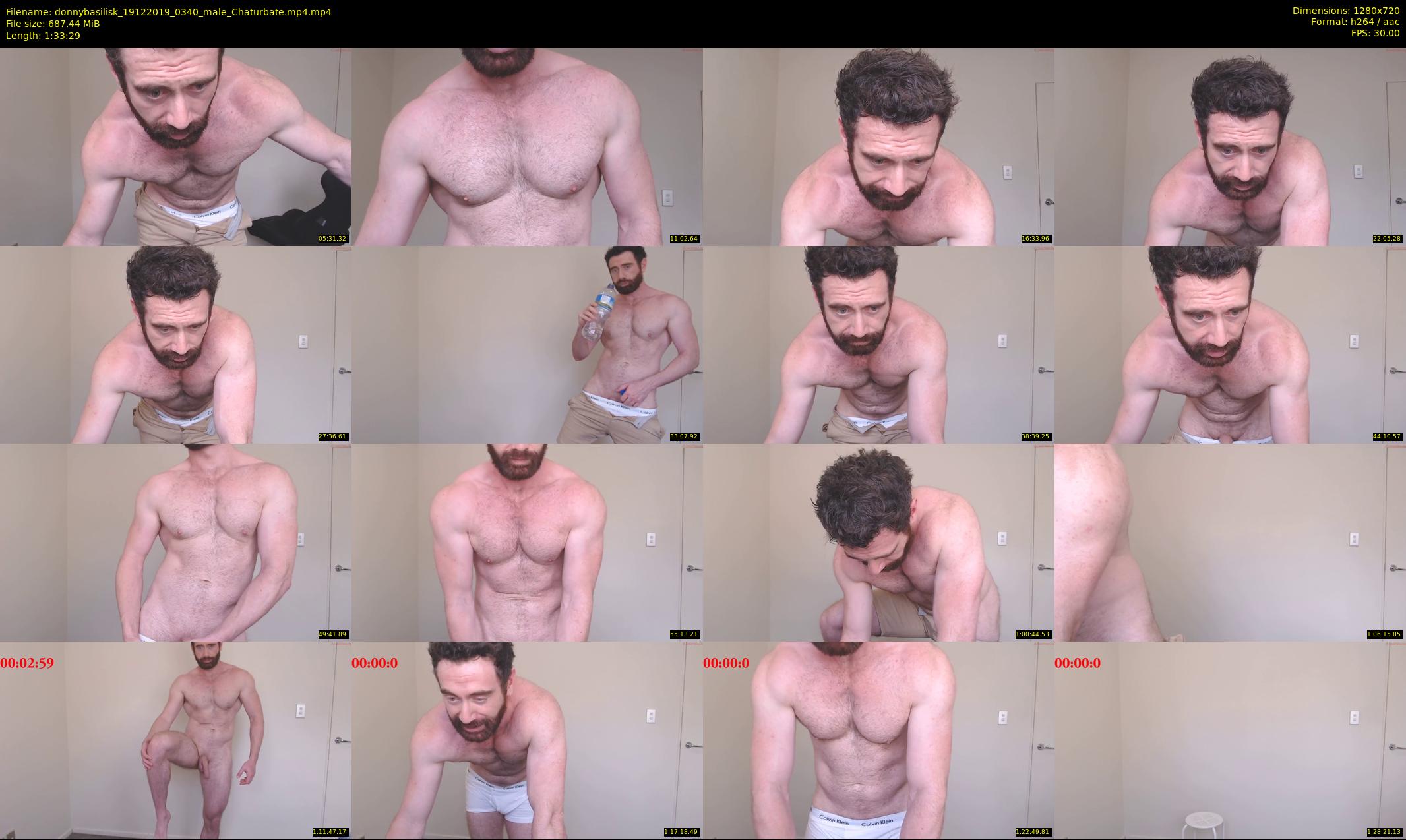 donnybasilisk — 94 minute Chaturbate male cam show recording, 720p, Dec 19, 2019