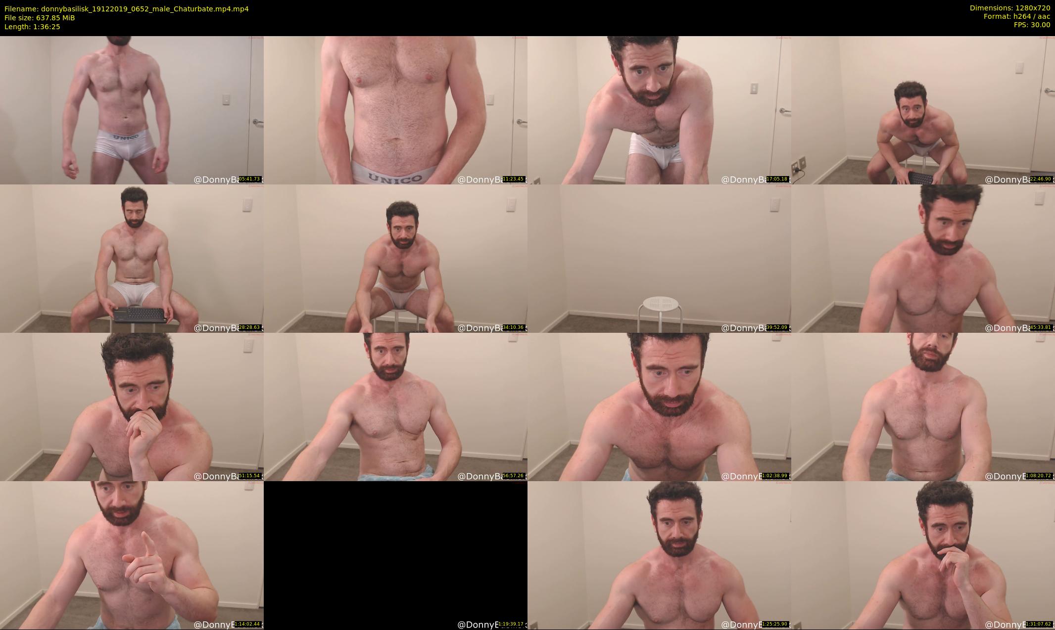 donnybasilisk — 97 minute Chaturbate male cam show recording, 720p, Dec 19, 2019