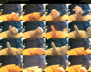 iowafarmcock — 15 minute Chaturbate male cam show recording, 480p, Dec 21, 2019