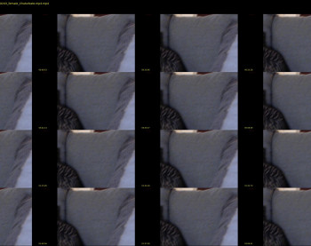allgood4u — 3 minute Chaturbate couple cam show recording, 720p, Dec 24, 2019