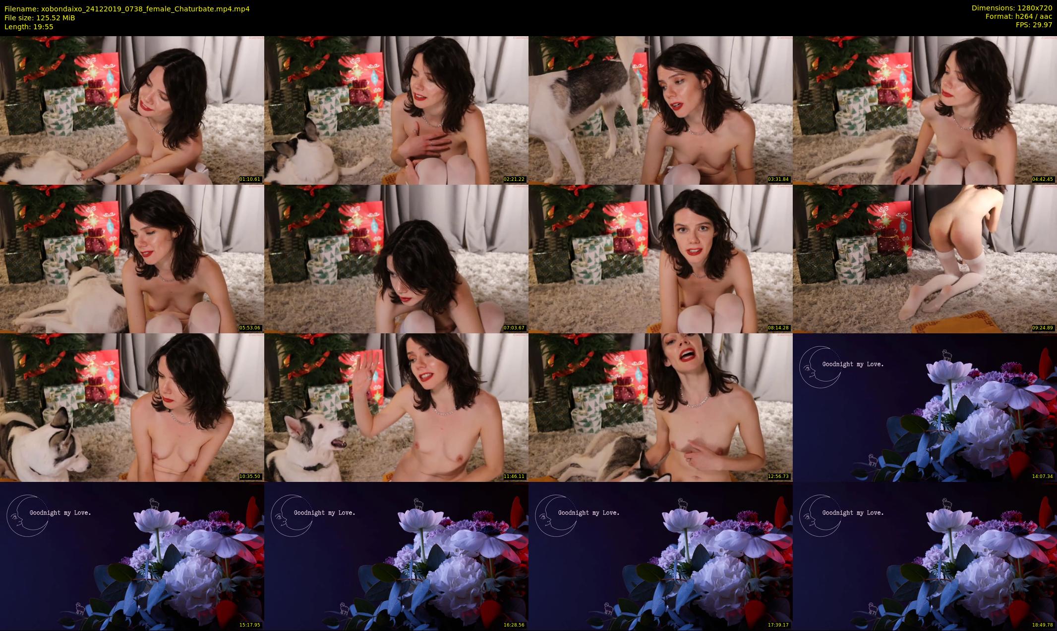 xobondaixo — 20 minute Chaturbate couple cam show recording, 720p, Dec 24, 2019