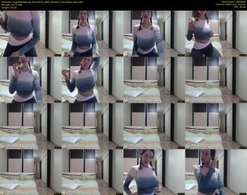 hugetittiesgerda — 6 minute Chaturbate female cam show recording, 480p, Dec 25, 2019