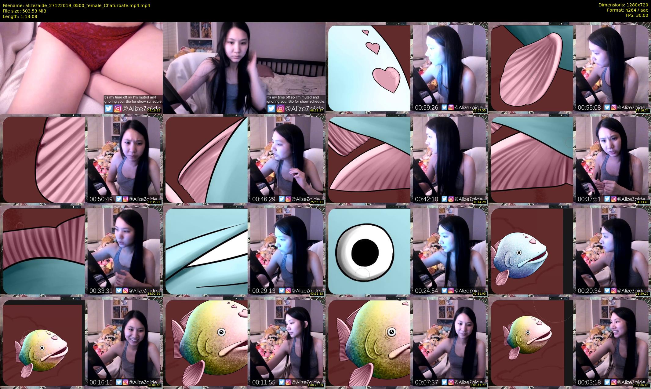 alizezaide — 74 minute Chaturbate female cam show recording, 720p, Dec 27, 2019