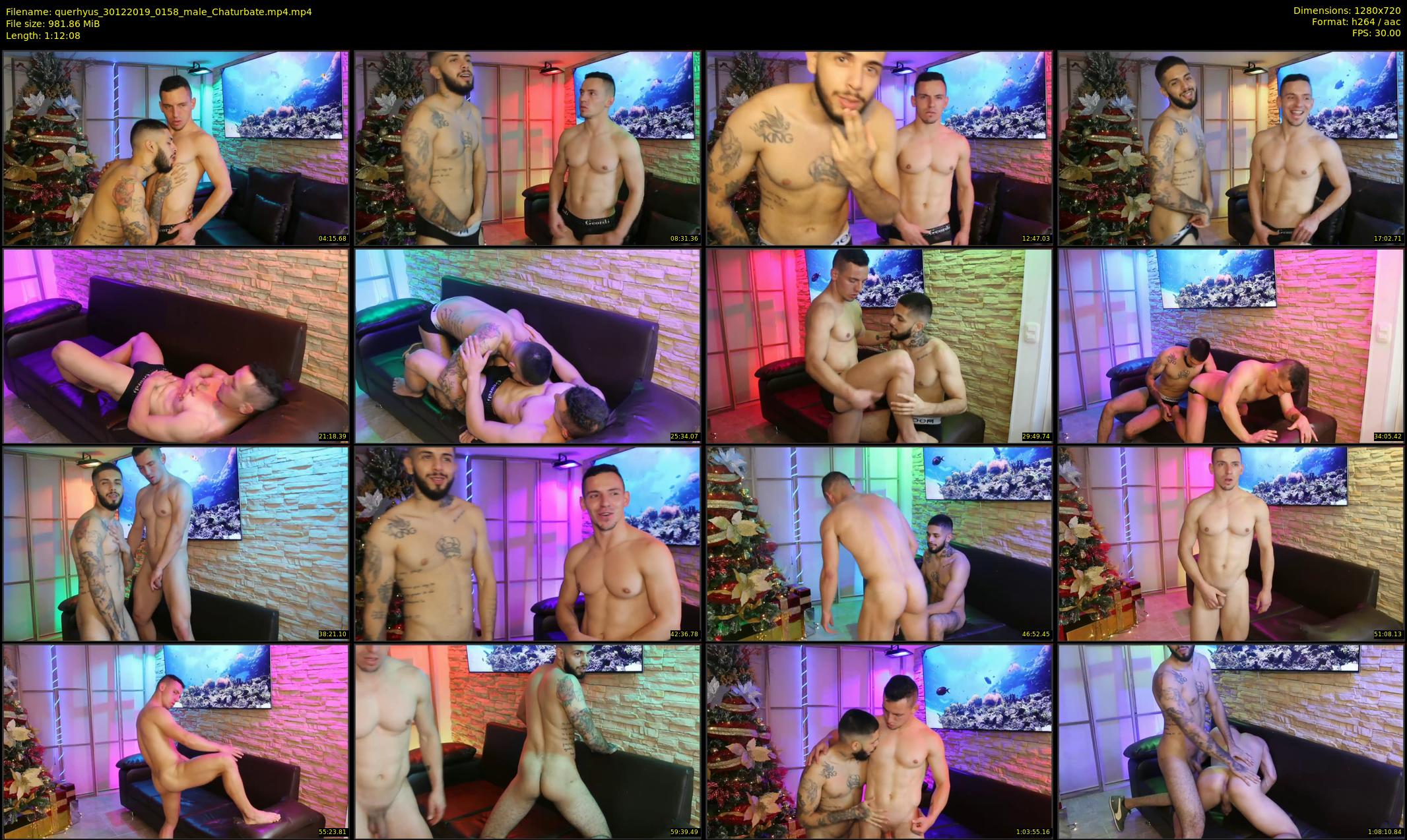 querhyus — 73 minute Chaturbate male cam show recording, 720p, Dec 30, 2019