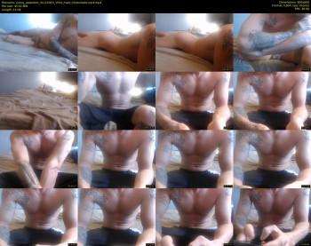 sunny_valentine — 15 minute Chaturbate male cam show recording, 480p, Dec 31, 2019