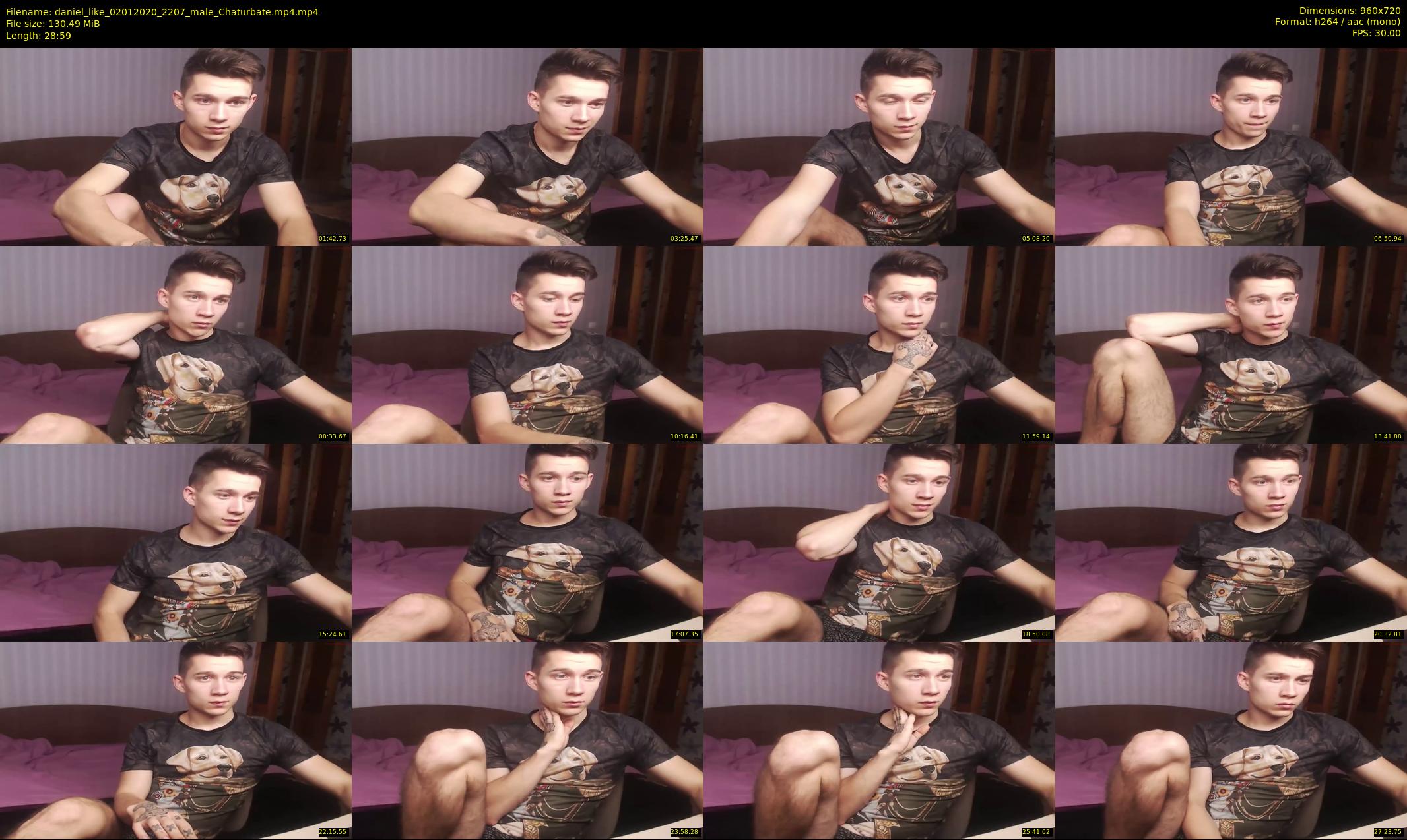 daniel_like — 29 minute Chaturbate male cam show recording, 720p, Jan 2, 2020