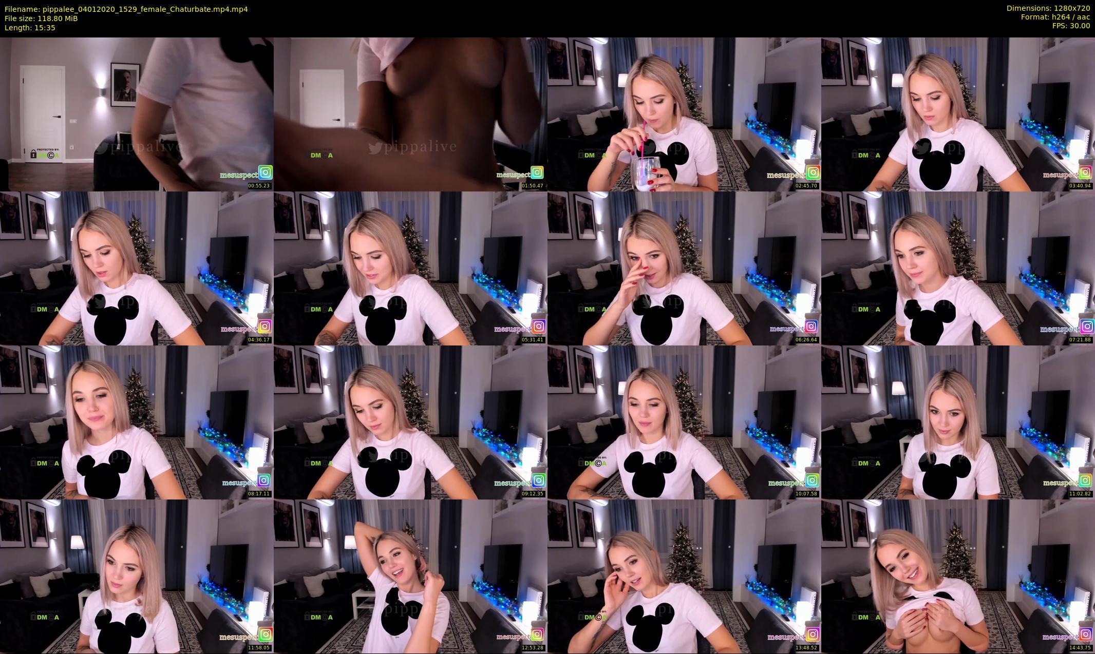 pippalee — 16 minute Chaturbate female cam show recording, 720p, Jan 4, 2020