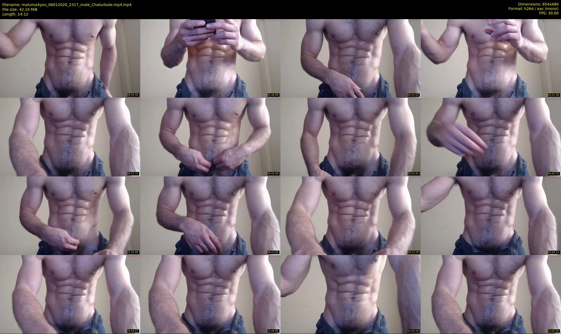 maluma4you — 15 minute Chaturbate male cam show recording, 480p, Jan 6, 2020