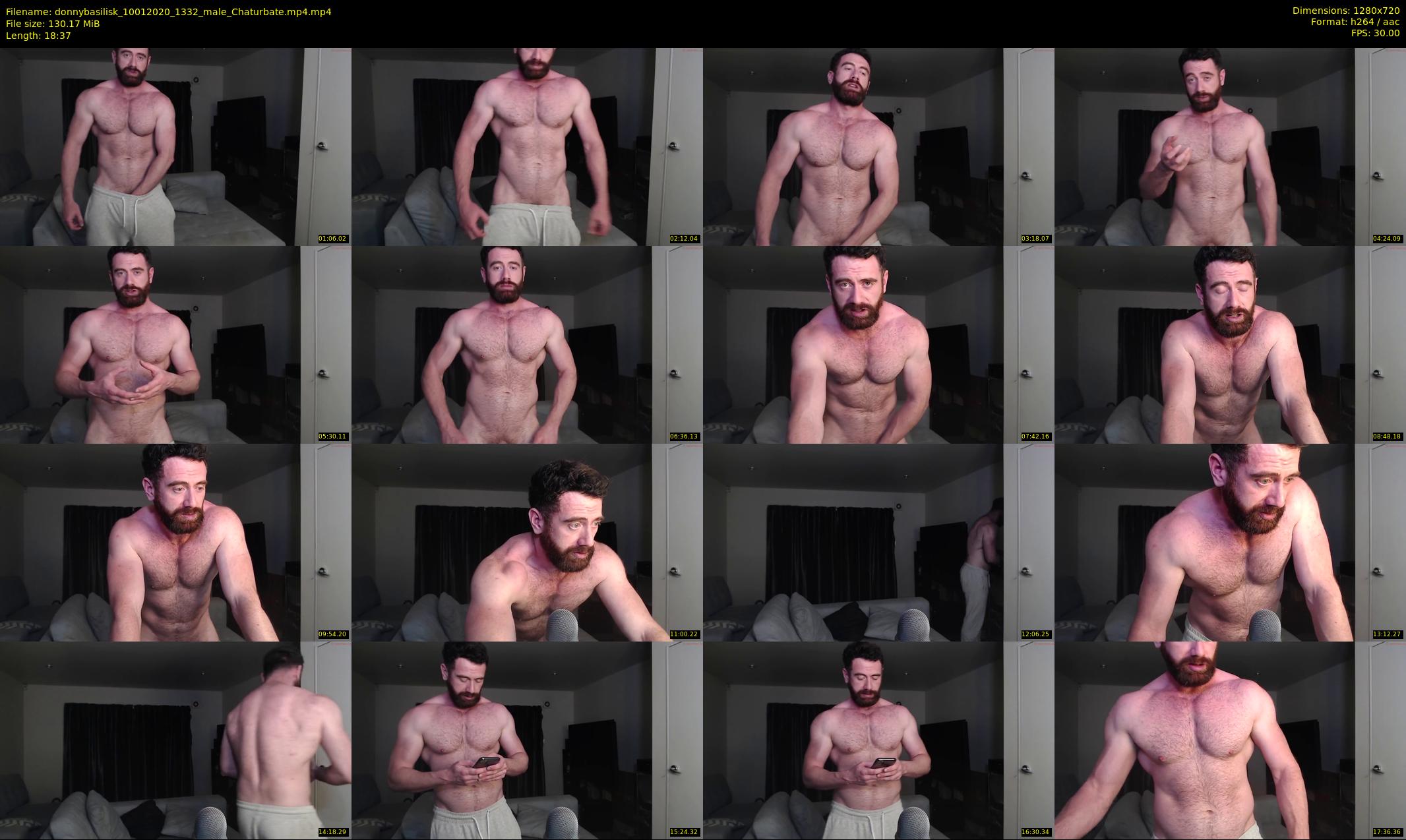 donnybasilisk — 19 minute Chaturbate male cam show recording, 720p, Jan 10, 2020