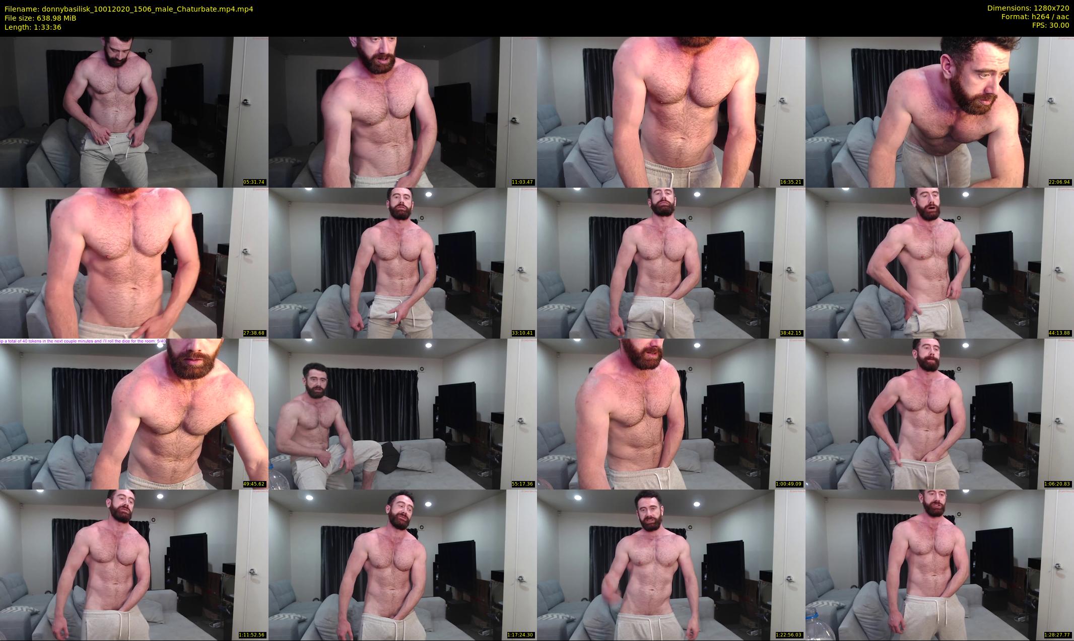 donnybasilisk — 94 minute Chaturbate male cam show recording, 720p, Jan 10, 2020
