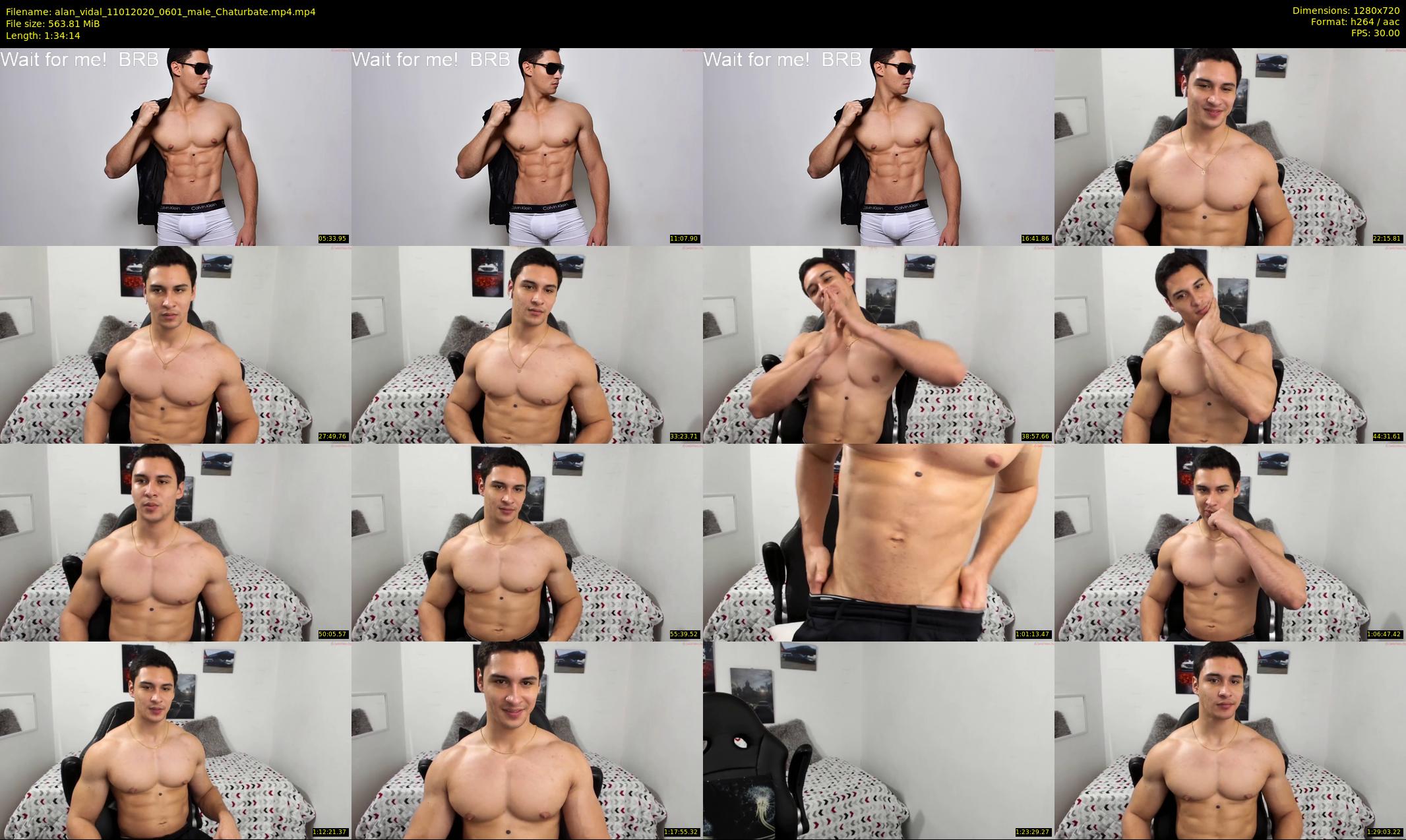 alan_vidal — 95 minute Chaturbate male cam show recording, 720p, Jan 11, 2020