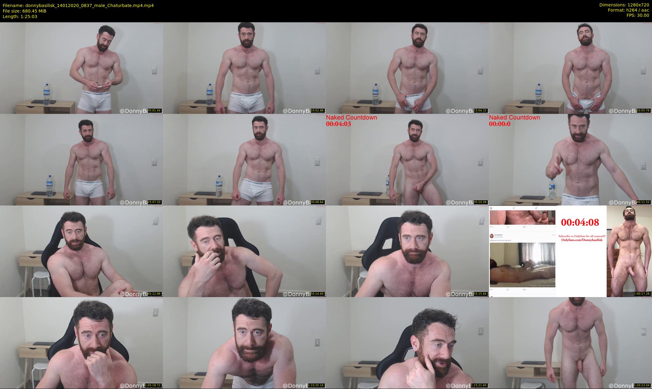 donnybasilisk — 86 minute Chaturbate male cam show recording, 720p, Jan 14, 2020