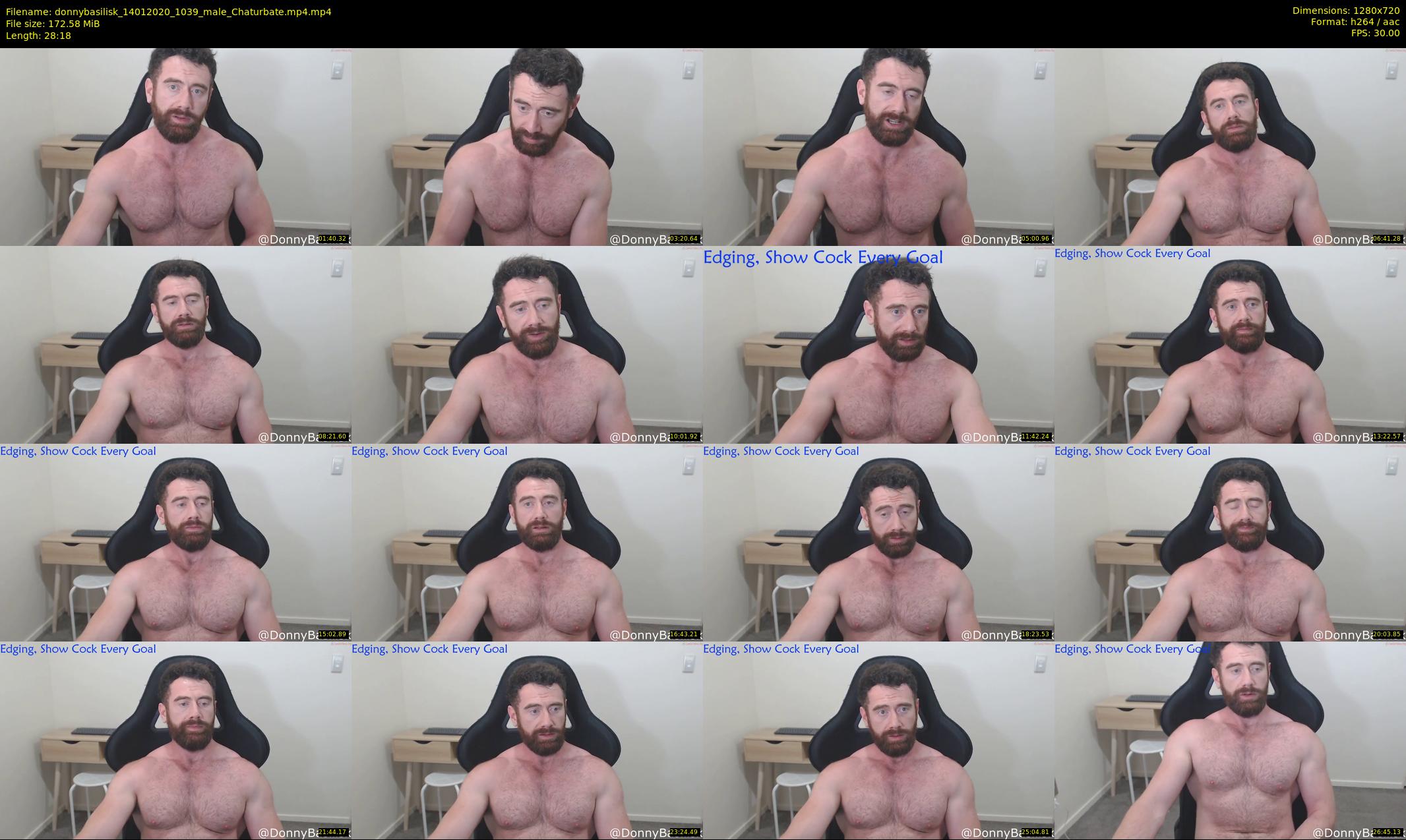 donnybasilisk — 29 minute Chaturbate male cam show recording, 720p, Jan 14, 2020