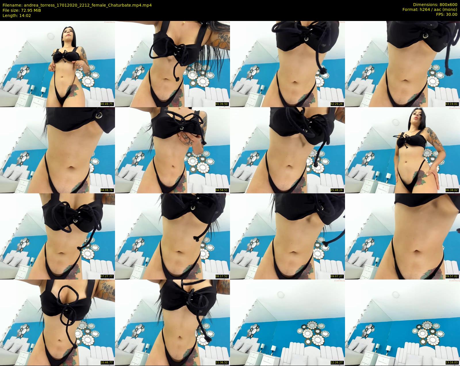 andrea_torress — 15 minute Chaturbate female cam show recording, 480p, Jan 17, 2020