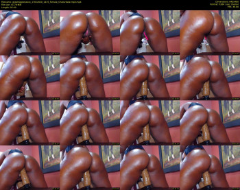 greatnipplesxxxx — 6 minute Chaturbate female cam show recording, 480p, Jan 17, 2020