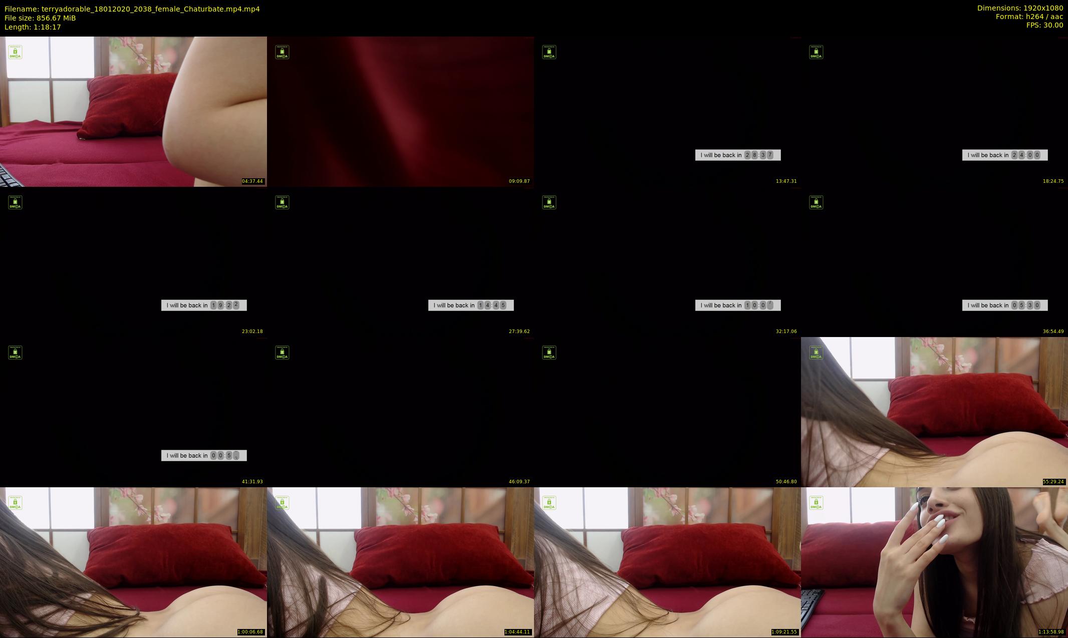 terryadorable — 79 minute Chaturbate female cam show recording, 1080p, Jan 18, 2020
