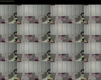 giorg107 — 29 minute Chaturbate couple cam show recording, 720p, Jan 19, 2020