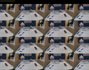 romanticabuse — 14 minute Chaturbate female cam show recording, 1080p, Jan 23, 2020