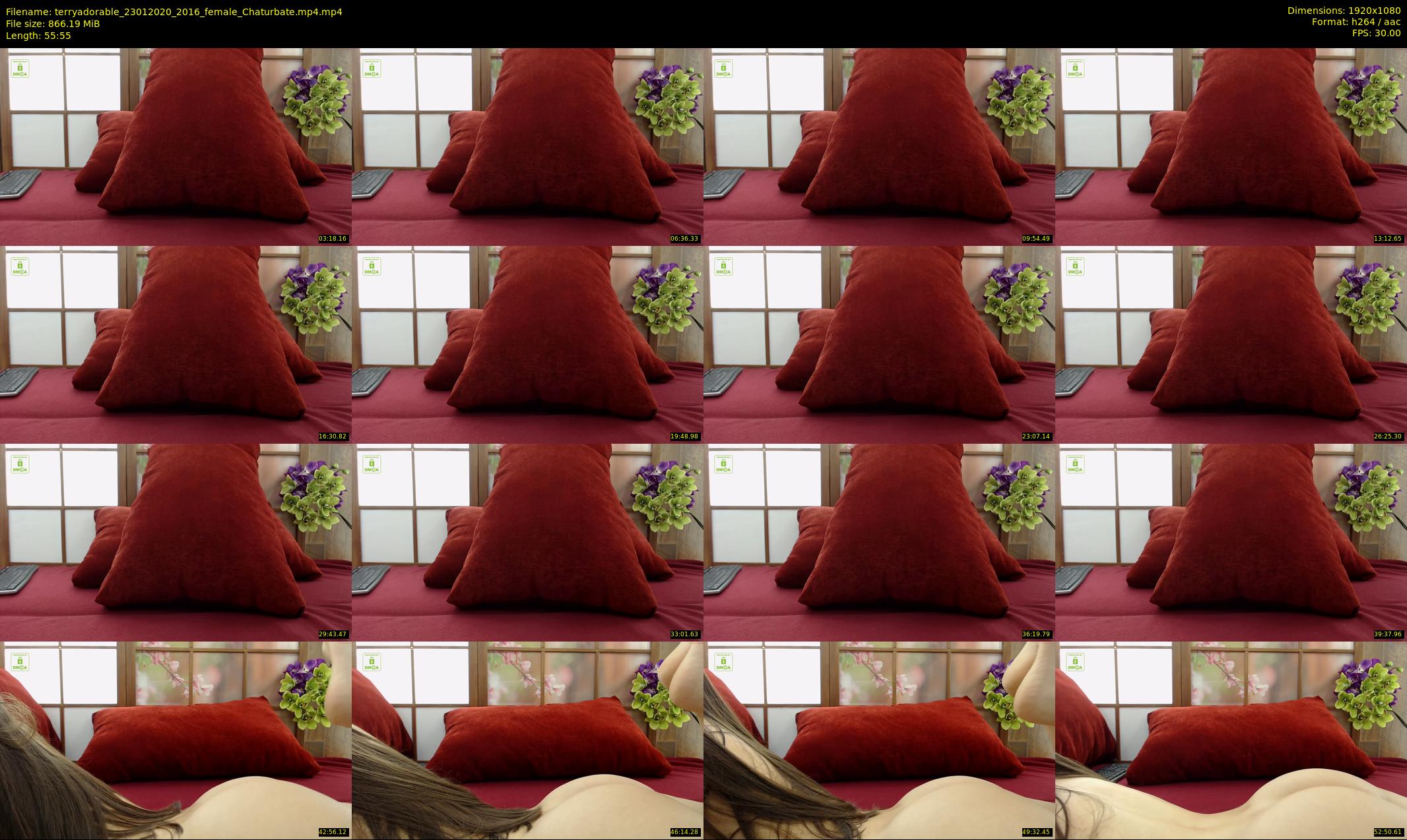 terryadorable — 56 minute Chaturbate female cam show recording, 1080p, Jan 23, 2020