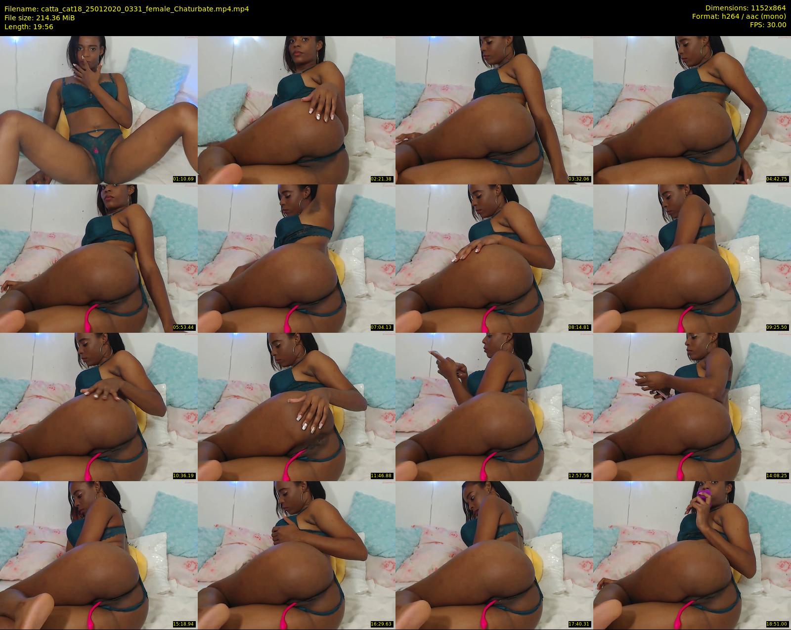 catta_cat18 — 20 minute Chaturbate female cam show recording, 720p, Jan 25, 2020