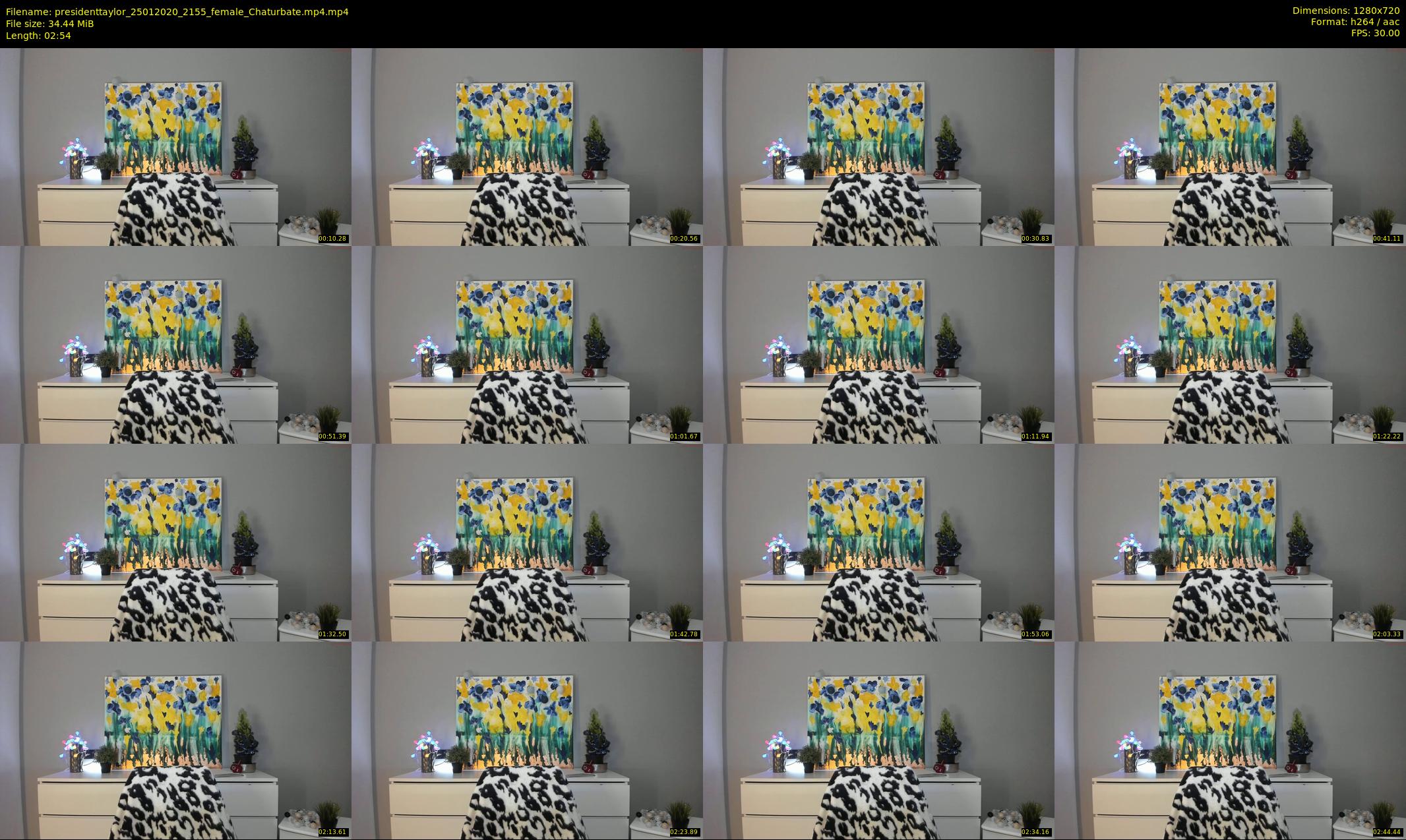 presidenttaylor — 3 minute Chaturbate female cam show recording, 720p, Jan 25, 2020