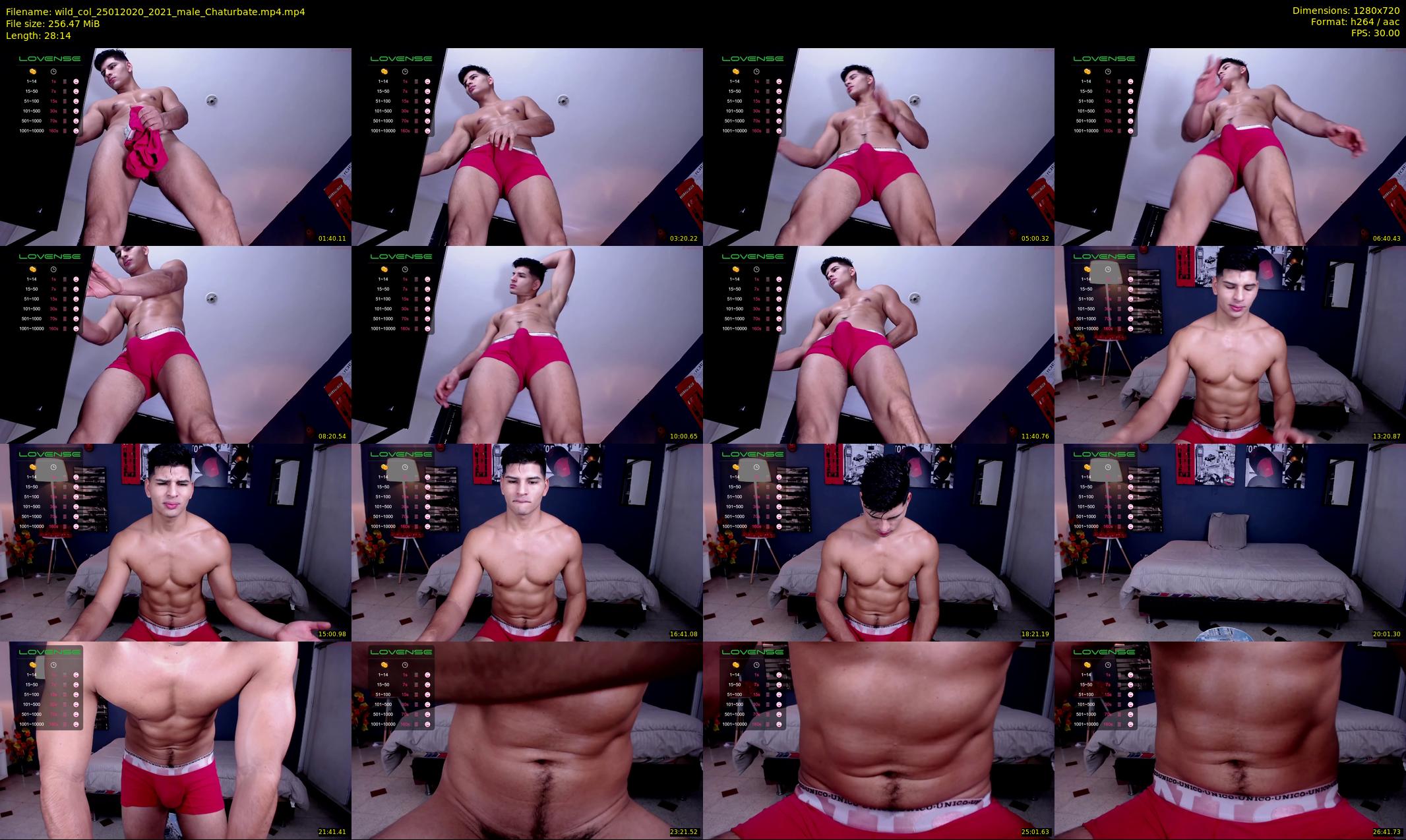 wild_col — 29 minute Chaturbate male cam show recording, 720p, Jan 25, 2020