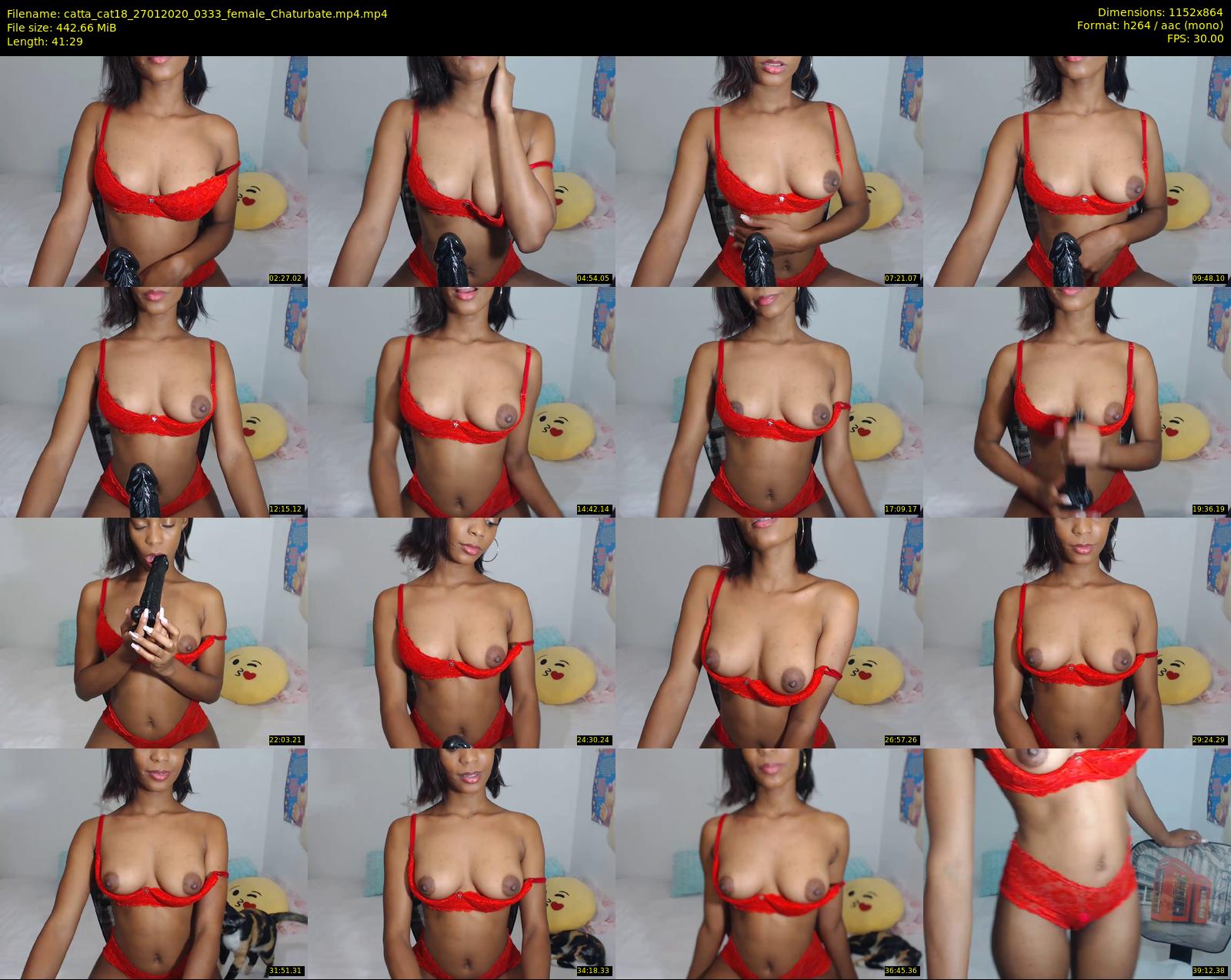 catta_cat18 — 42 minute Chaturbate female cam show recording, 720p, Jan 27, 2020