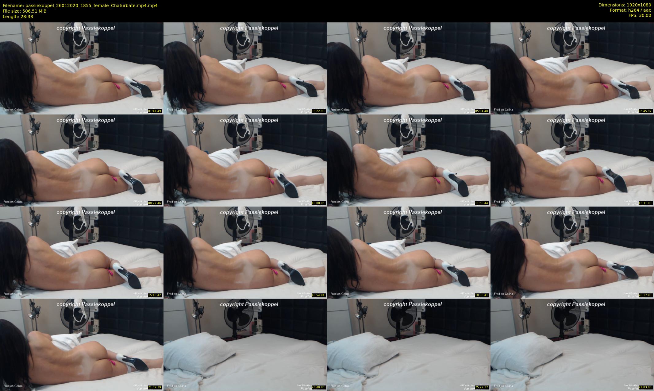 passiekoppel — 29 minute Chaturbate couple cam show recording, 1080p, Jan 26, 2020