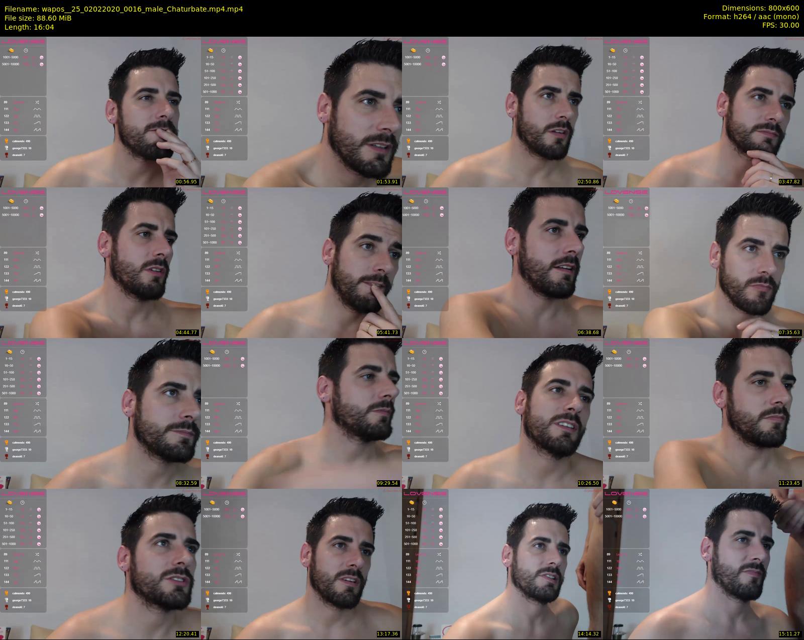 wapos__25 — 17 minute Chaturbate male cam show recording, 480p, Feb 2, 2020