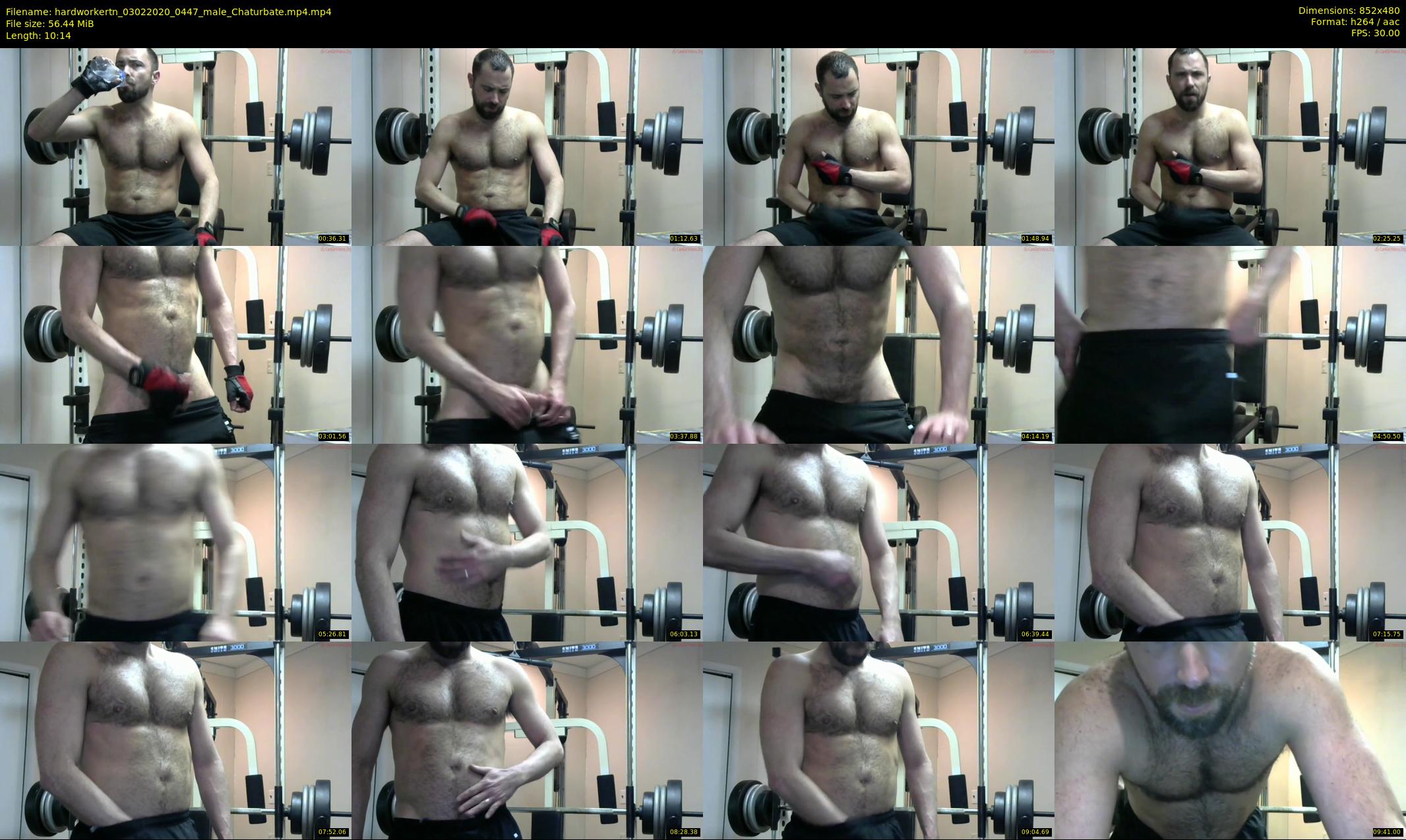 hardworkertn — 11 minute Chaturbate male cam show recording, 480p, Feb 3, 2020