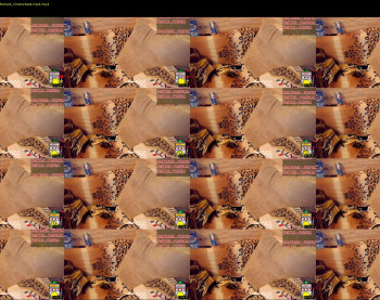 ps4pro — 21 minute Chaturbate female cam show recording, 720p, Feb 2, 2020
