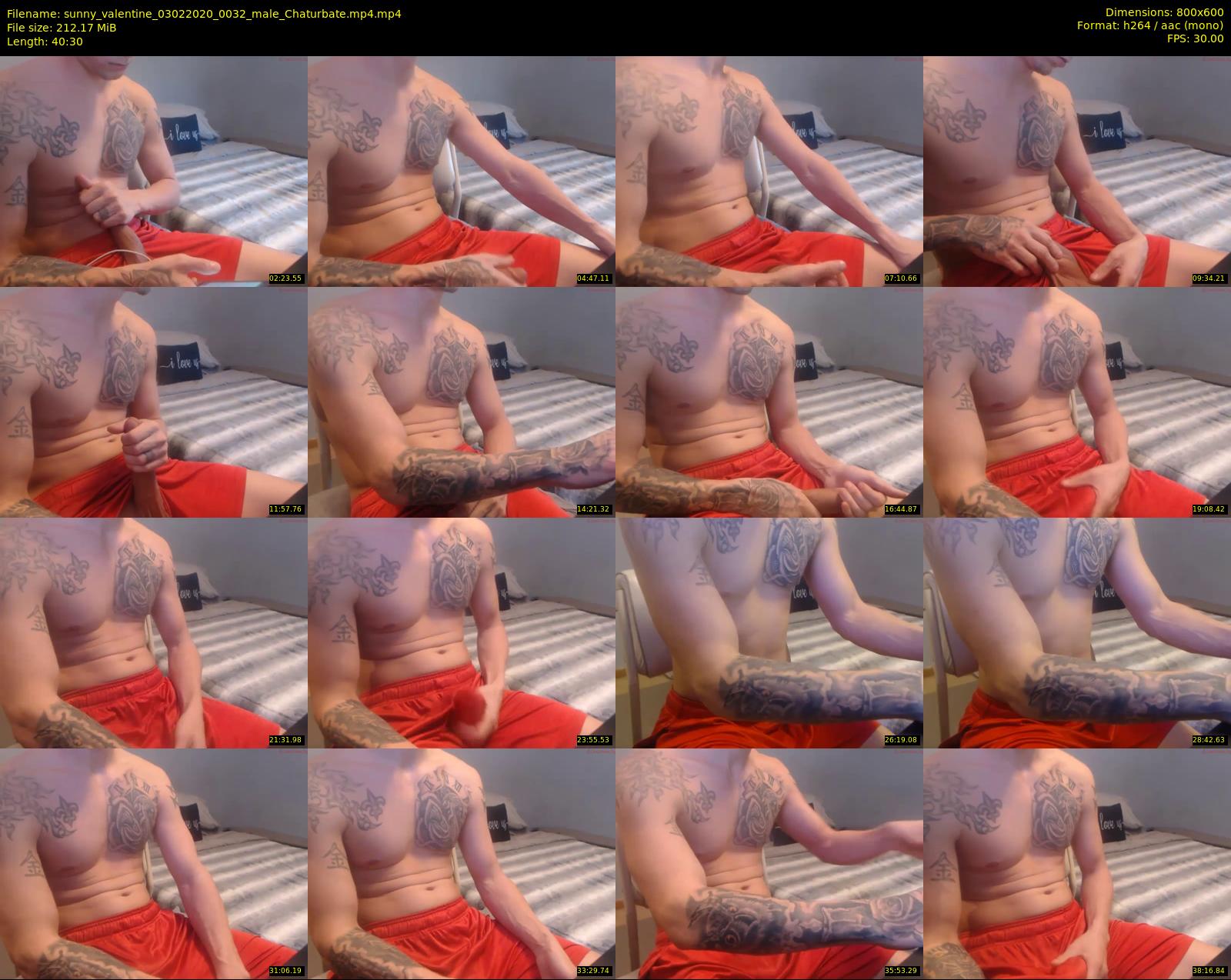 sunny_valentine — 41 minute Chaturbate male cam show recording, 480p, Feb 3, 2020