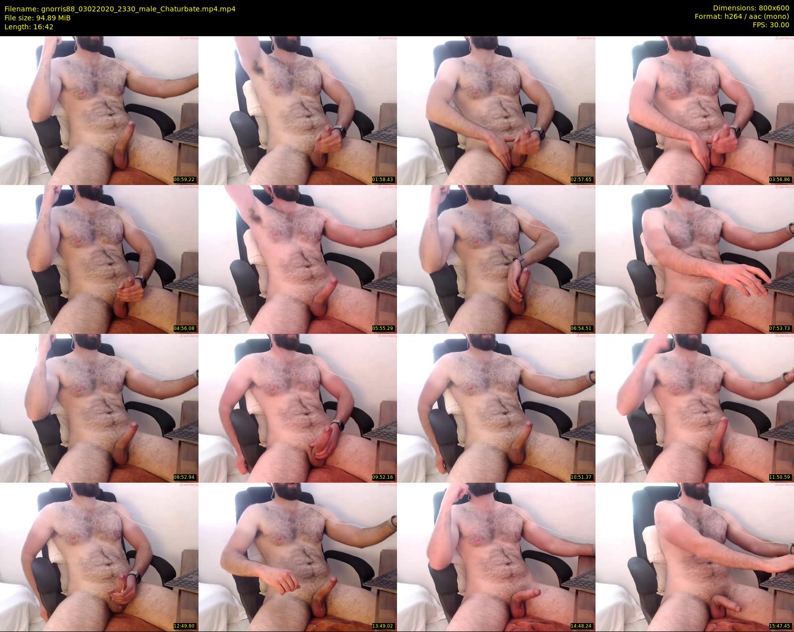 gnorris88 — 17 minute Chaturbate male cam show recording, 480p, Feb 3, 2020