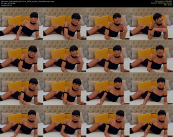 amberwillis — 17 minute Chaturbate female cam show recording, 480p, Feb 6, 2020