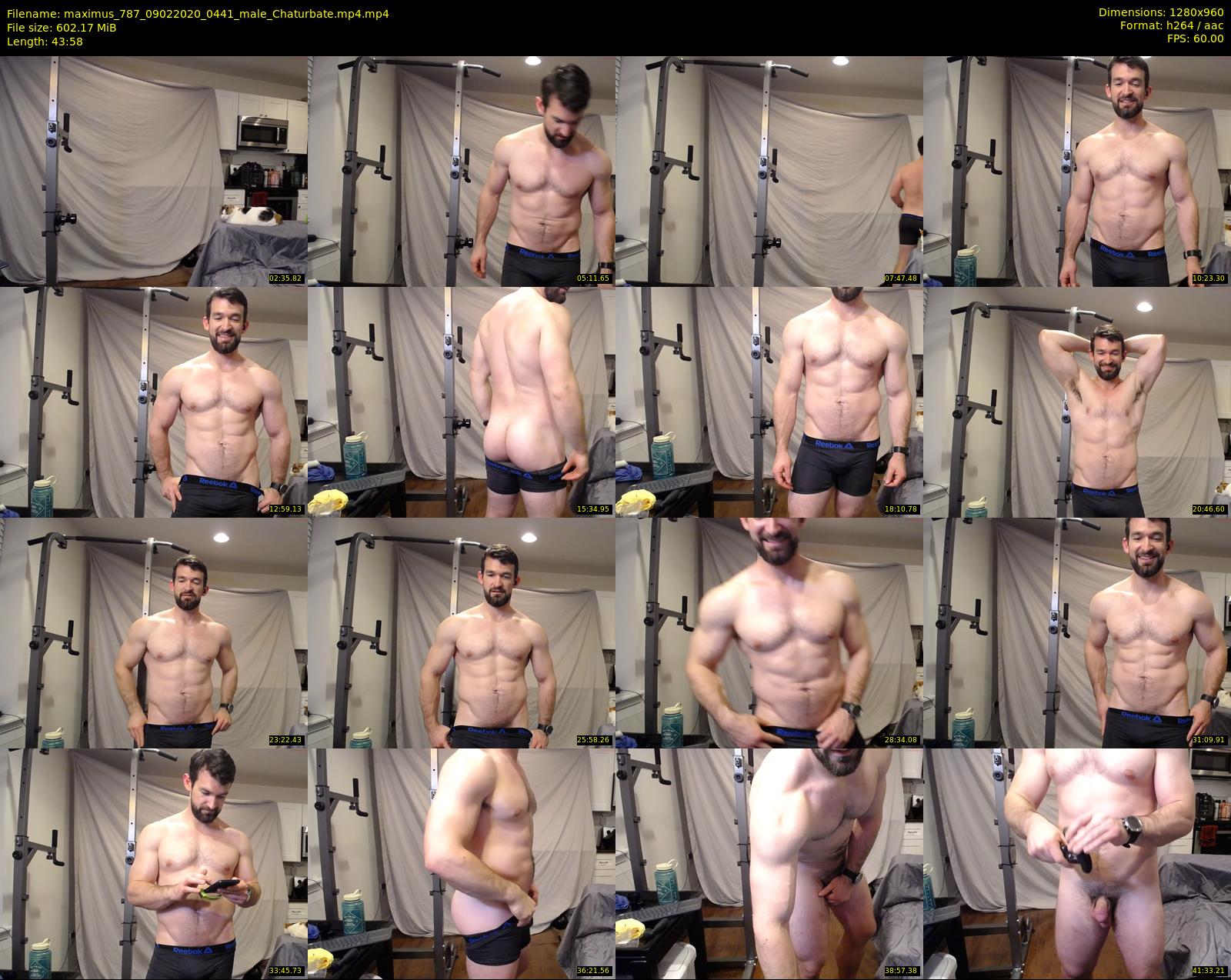 maximus_787 — 44 minute Chaturbate male cam show recording, 720p, Feb 9, 2020
