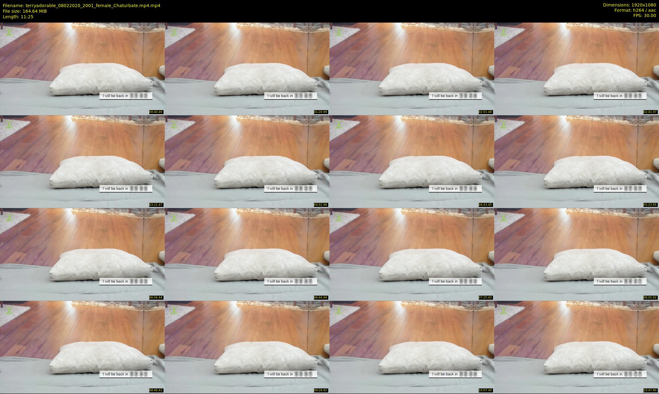 terryadorable — 12 minute Chaturbate female cam show recording, 1080p, Feb 8, 2020